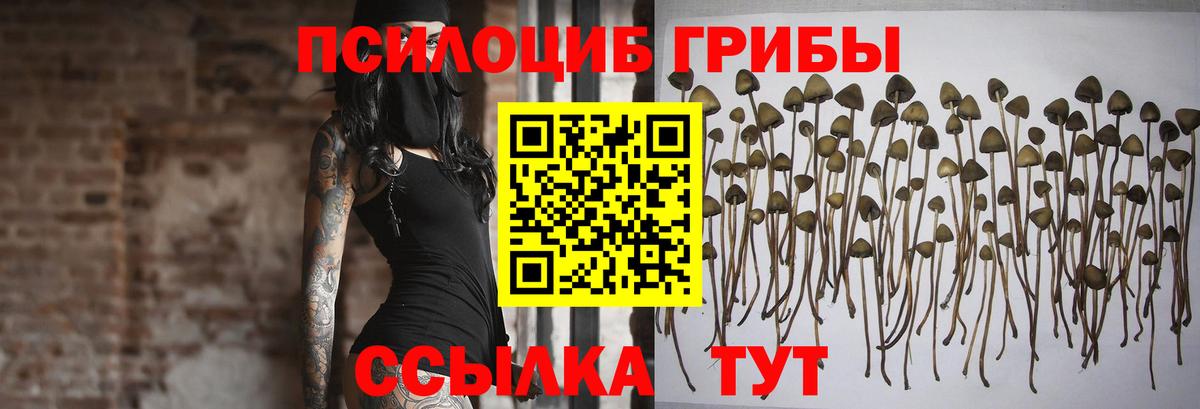 Псилоцибиновые грибы Psilocybe  Галлюциногенные грибы Cubensis  Омск  где можно купить наркотик  Вход с VPN 